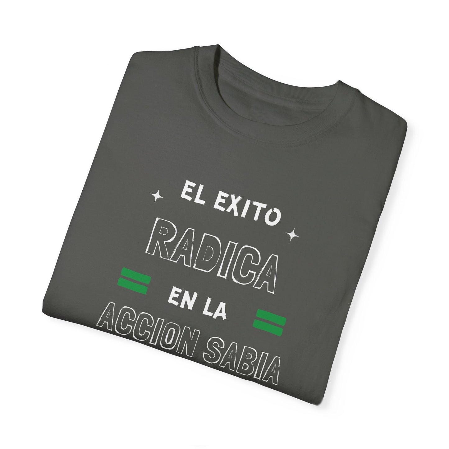 Unisex Garment-Dyed T-shirt: Theme: El éxito radica